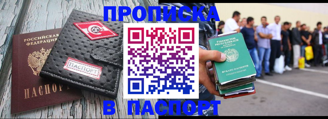 прописка регистрация в Михайловке